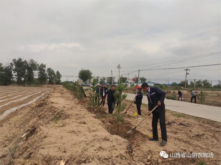 山西省山阴农牧场