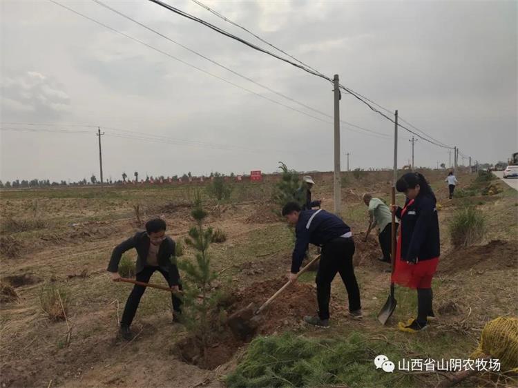 山西省山阴农牧场