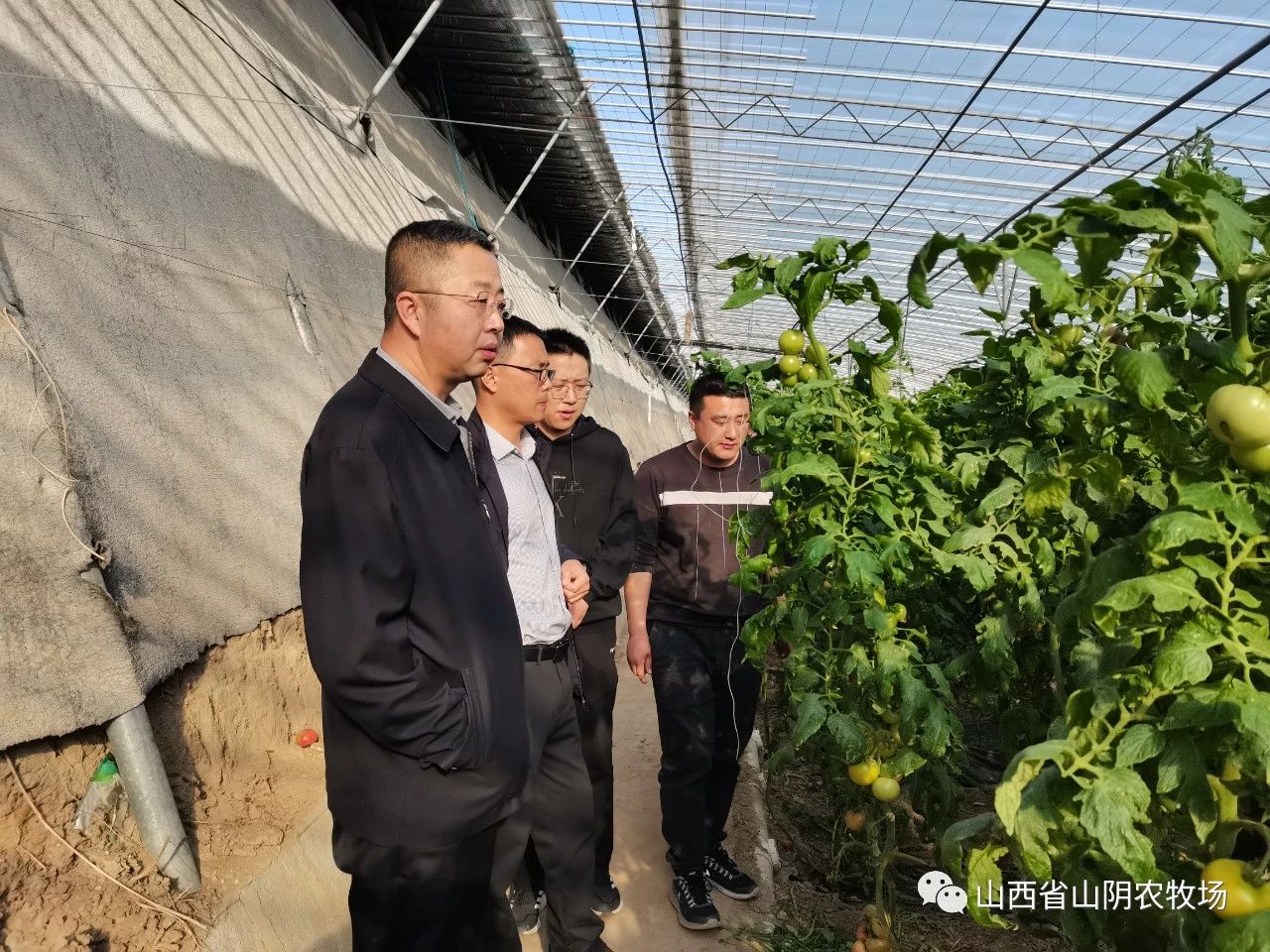 山西省山阴农牧场组织相关人员外出考察学习现代农业发展经验